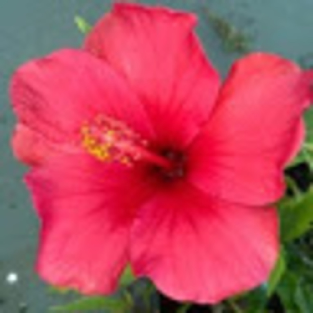 Meet your Posher, Christi